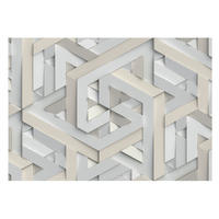 FOTOTAPETE 208x146 cm - Trugbilder - Weiß, Textil (208/146cm) - Wallfluent
