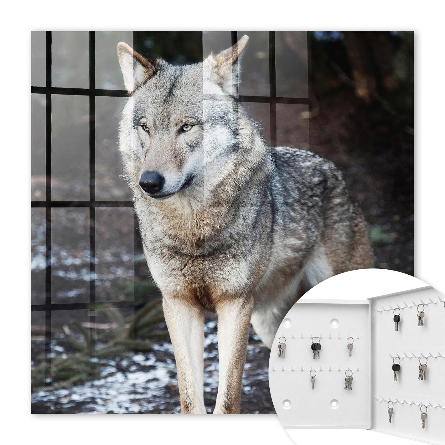 SCHLÜSSELBOX Weiß 30x30 cm – Türöffnung nach rechts - Wolf im Wald - Grau, Metall (30/30/5cm) - TULUP