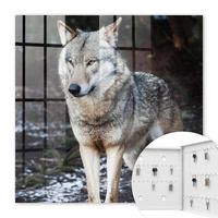 SCHLÜSSELBOX Weiß 30x30 cm – Türöffnung nach rechts - Wolf im Wald - Grau, Metall (30/30/5cm) - TULUP