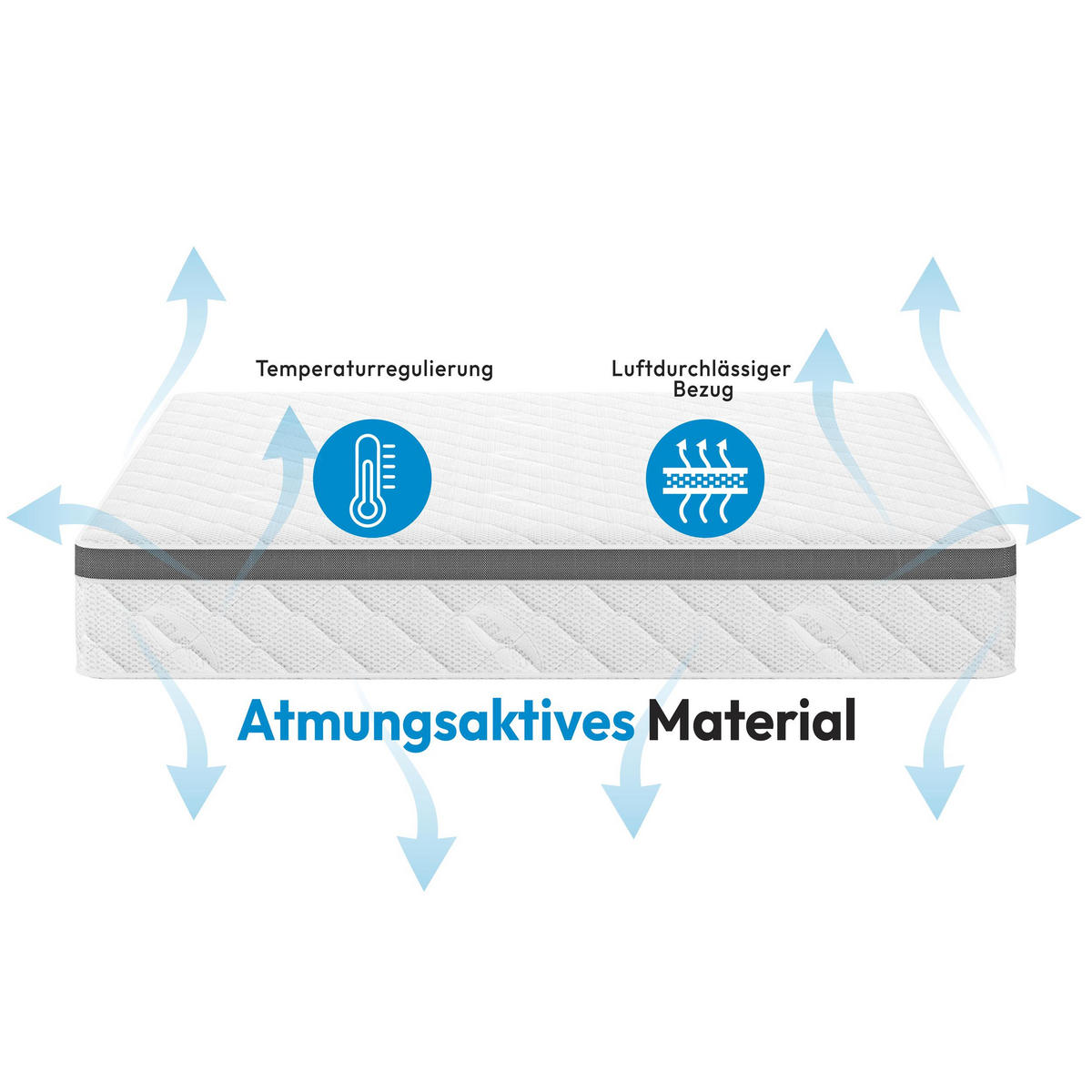 WENDEMATRATZE Mediro Therm 24 cm,7-Zone, mit Kokosmatte, H3/H4, 90x200 - Weiß, Textil (90/200cm) - Beautysofa