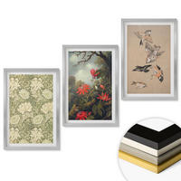 WANDBILDER 3er Set - 40x60 cm Silberner Rahmen - Blumen, Vögel, Natur - Silberfarben, Kunststoff (40/60cm) - ArtPrintCave
