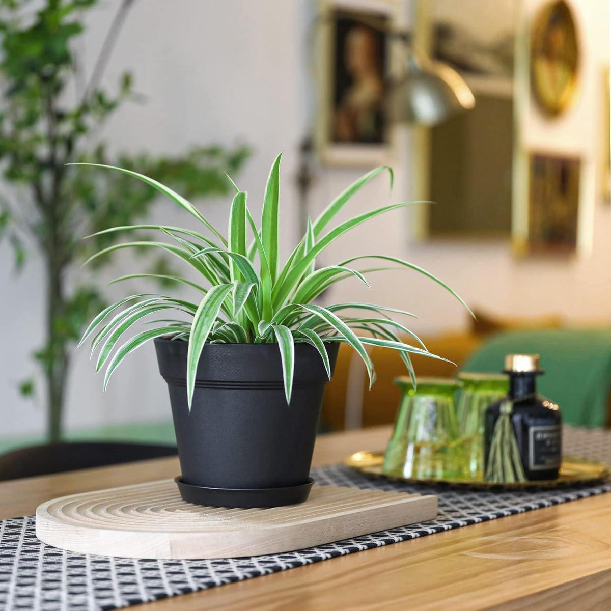 BLUMENTOPF 6er-Set mit Untersetzer Schwarz 19 cm - Schwarz, Kunststoff (19/15.5/19cm)