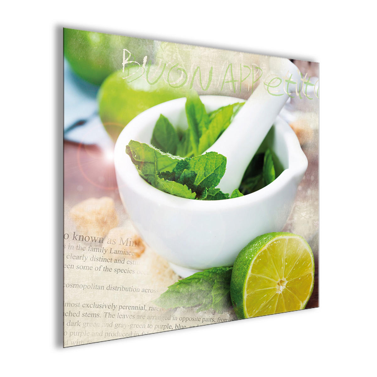 GLASBILD 50x50 cm Küche Kräuter grün - Beige/Grün, Glas (50/50cm) - artissimo