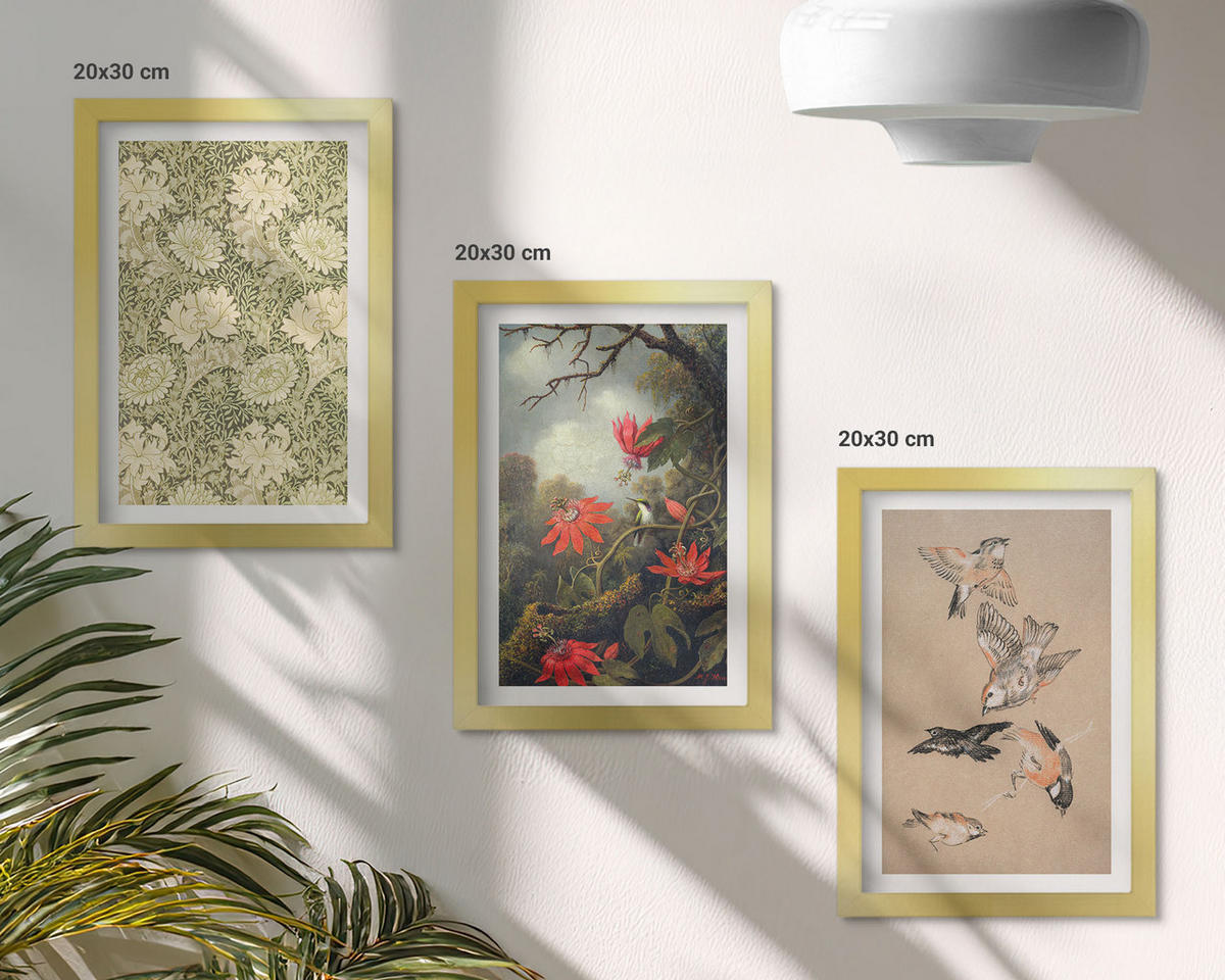BILDER SET 3er Set - 20x30 cm Goldrahmen - Blumen, Vögel, Natur - Goldfarben, Kunststoff (20/30cm) - TULUP