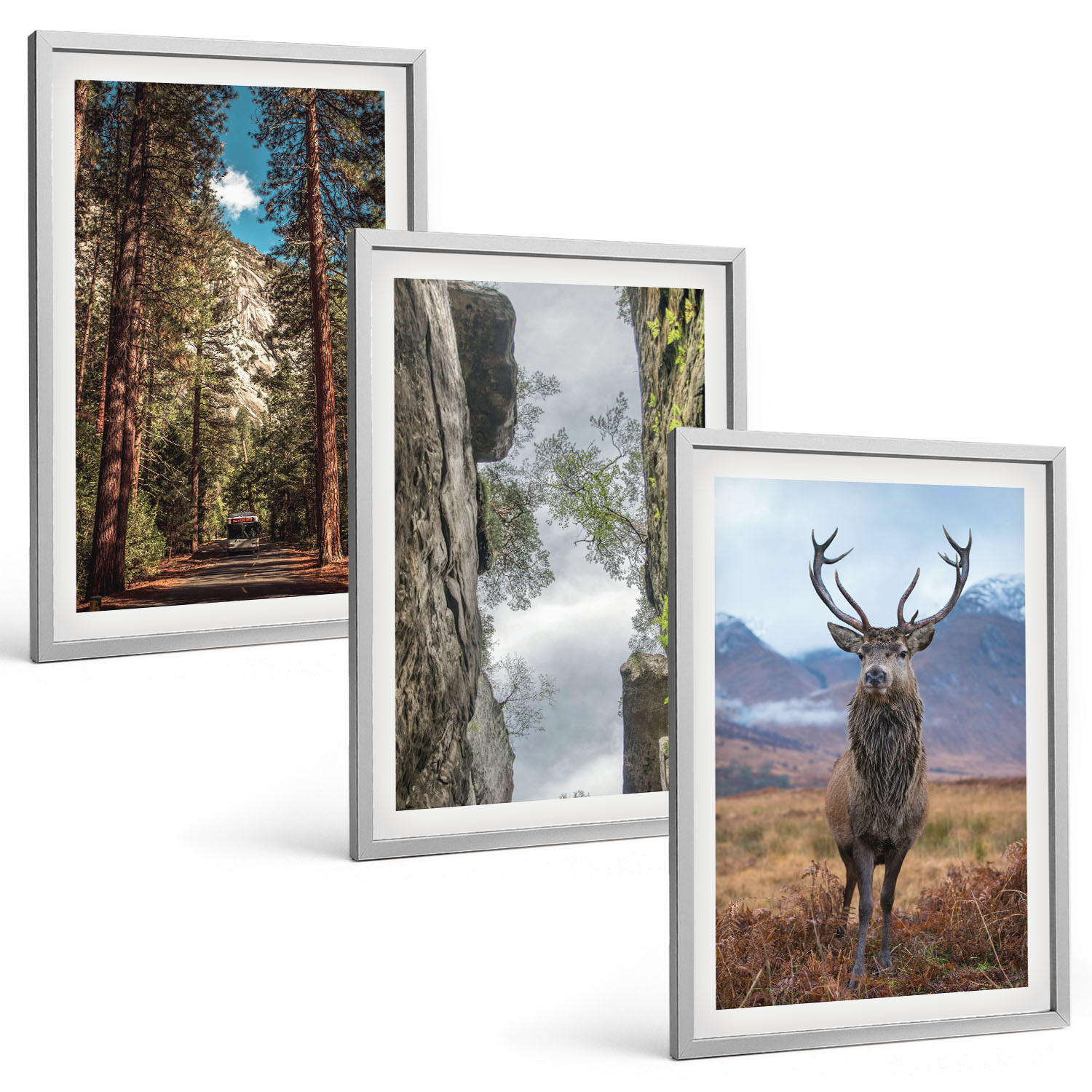BILDER SET 3er Set - 40x60 cm Silberner Rahmen - Straße Wald Berge Hirsch Natur - Silberfarben, Kunststoff (40/60cm) - TULUP