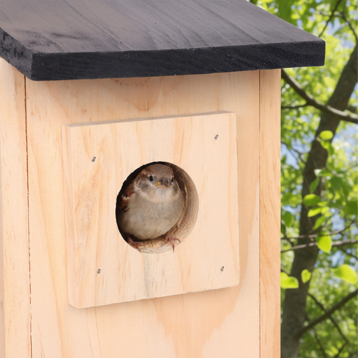 NISTKASTEN - Hellbraun, Holz (16/27/12cm) - Relaxdays