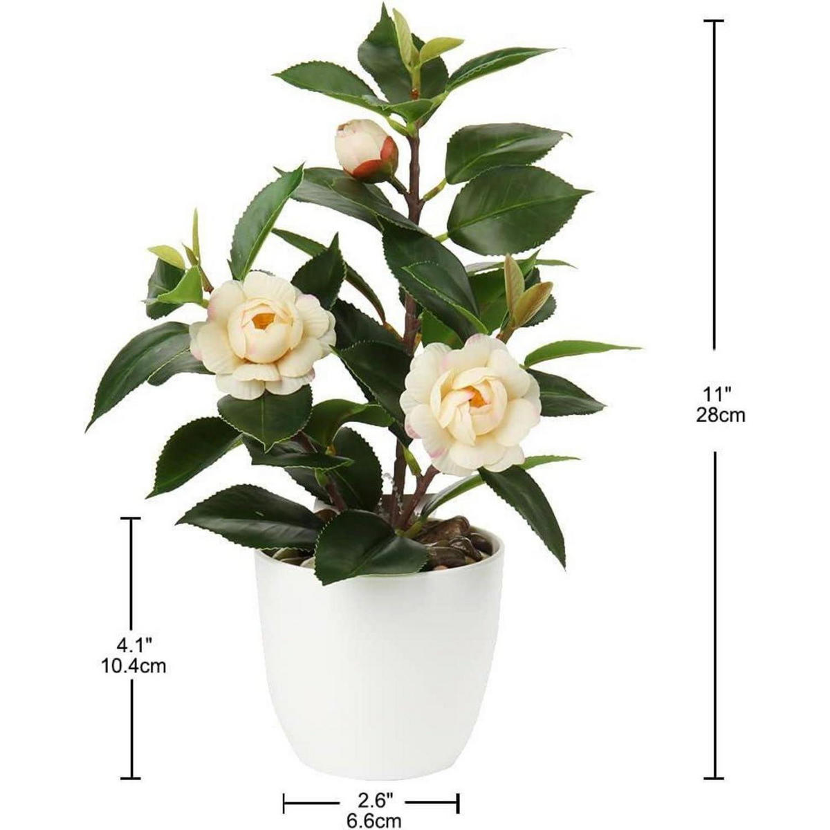 KUNSTPFLANZE Kamelie mit Blüten 28 cm - Multicolor, Kunststoff (28cm)