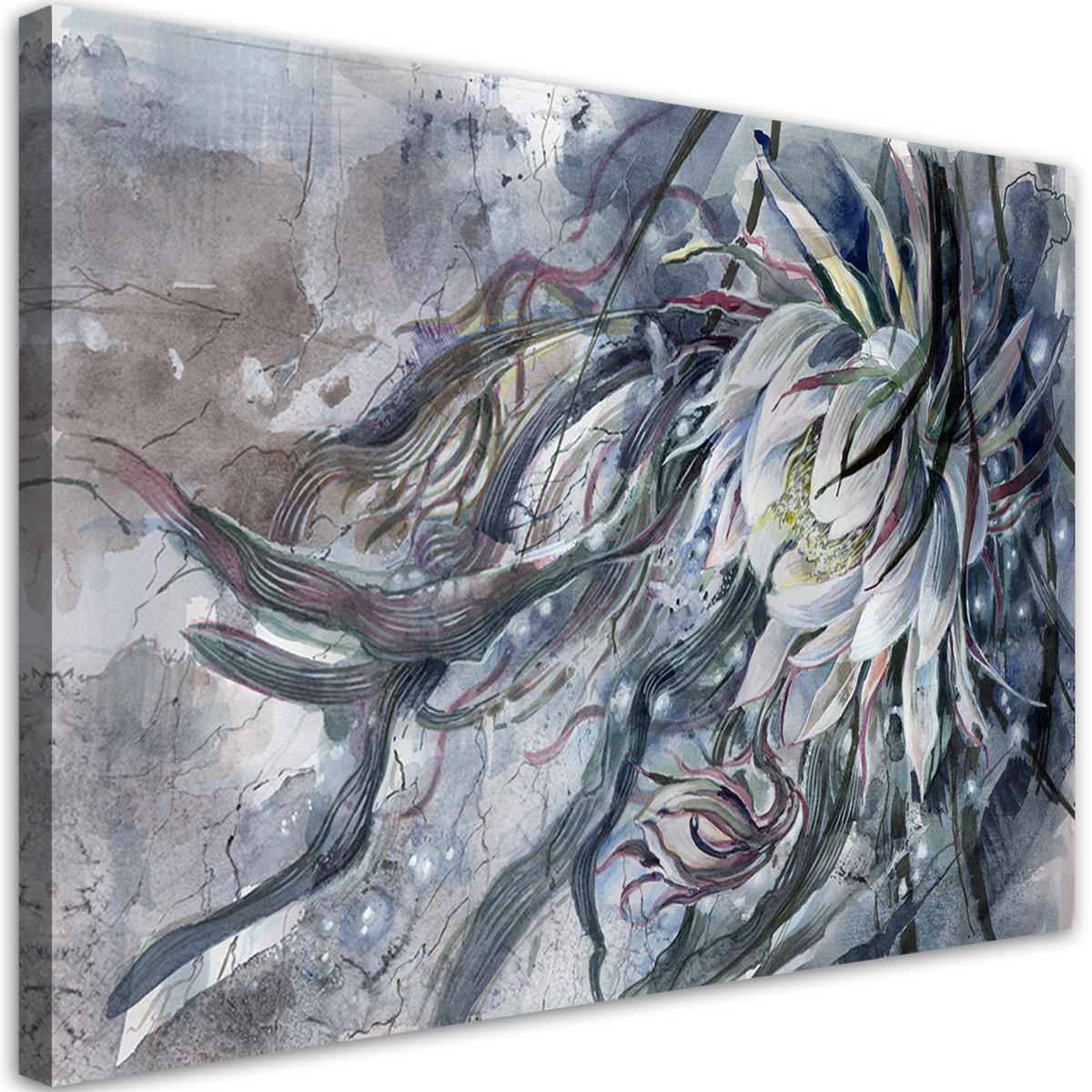 WANDBILD blume der königin der nacht - Türkis, Textil (60/40cm) - Feeby