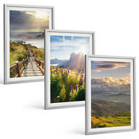 BILDER SET 3er Set - 40x60 cm Silberner Rahmen - Berglandschaft mit Blumen - Silberfarben, Kunststoff (40/60cm) - TULUP