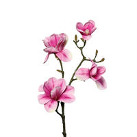KUNSTPFLANZE Künstliche Magnolien Zweig - Matilda 80 cm - Pink, Kunststoff (80cm) - aplanta