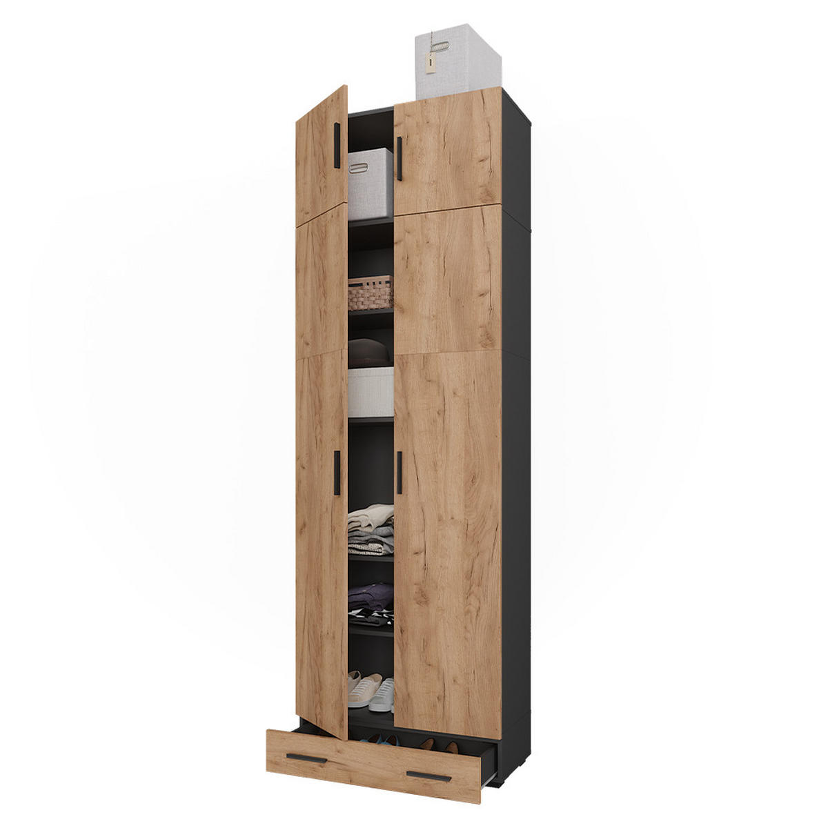 REGÁL NA DOKUMENTY Frank Antracit/zlatý dub - antracitová, kompozitní dřevo (80/241.2/37cm) - Vicco