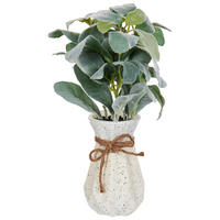 KÜNSTLICHE Topfpflanze 30 cm Grün/Schwarz Peperomia Argyreia - Schwarz/Grün, Kunststoff (30cm) - Beliani