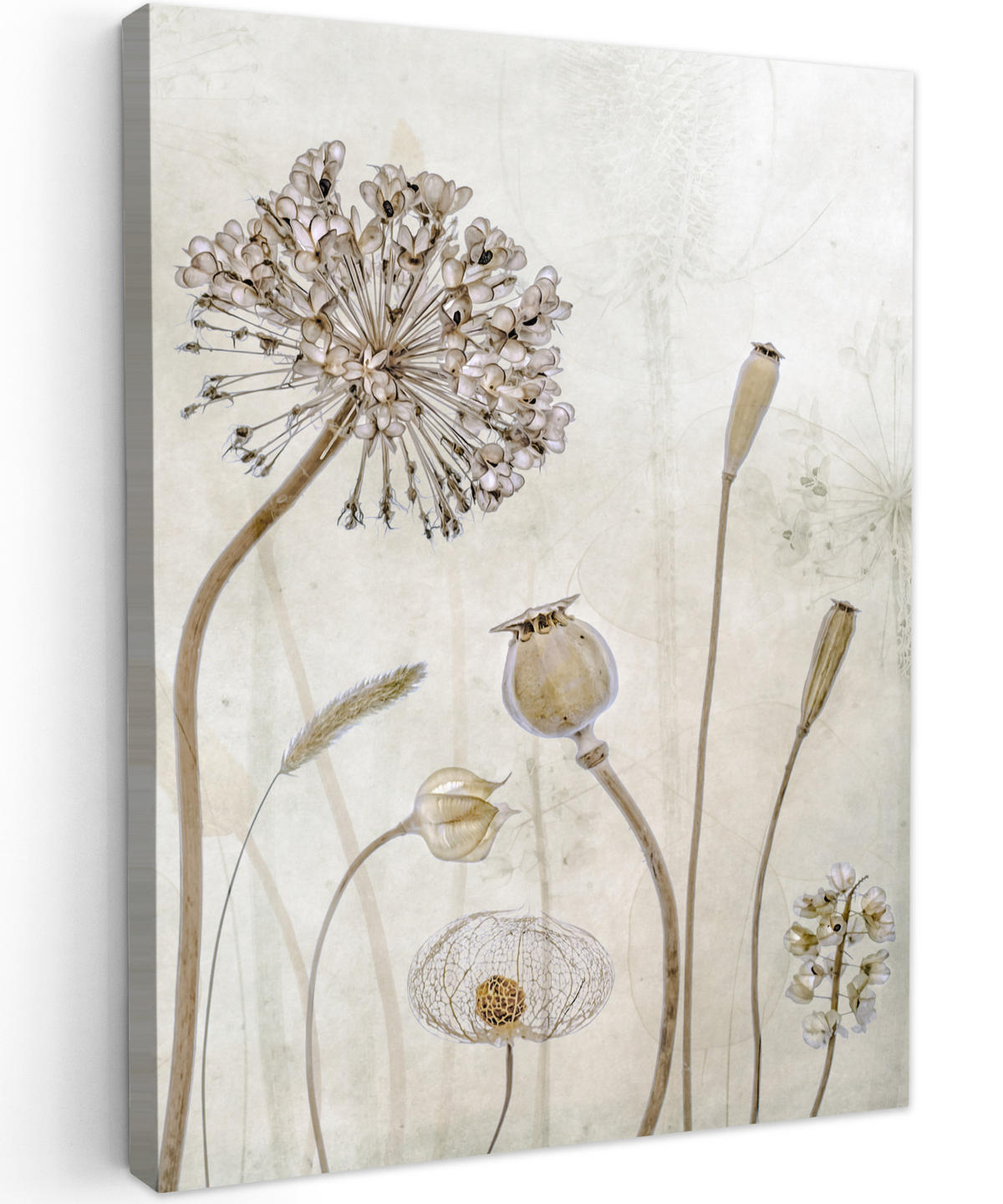 LEINWANDBILD Blumen - Aquarell - Stilleben - Braun - Vintage 30x40 cm - Beige, Textil (30/40cm) - MuchoWow