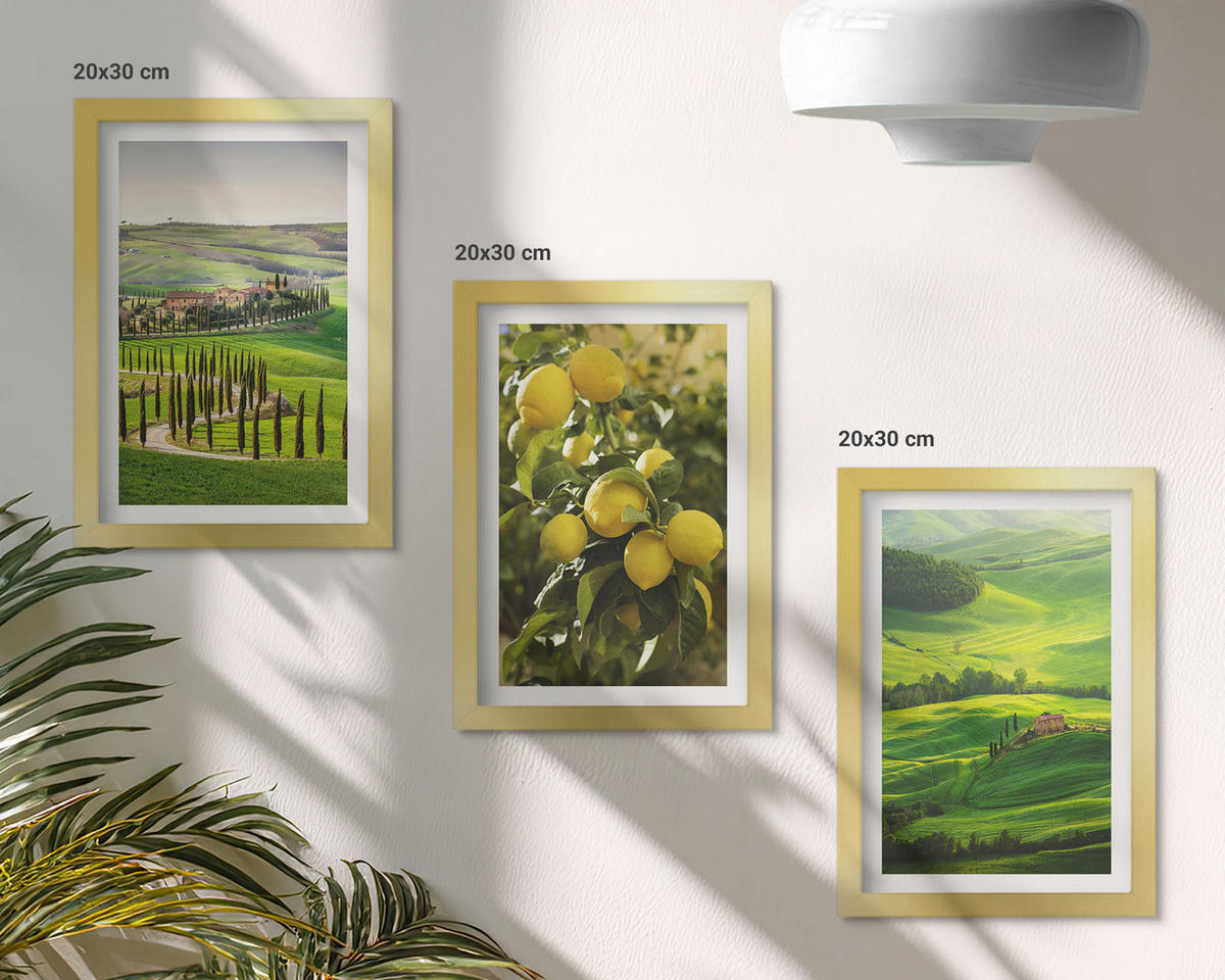 BILDER SET 3er Set - 20x30 cm Goldrahmen - Italienische Zitrusfrüchte und Hügel - Goldfarben, Kunststoff (20/30cm) - TULUP