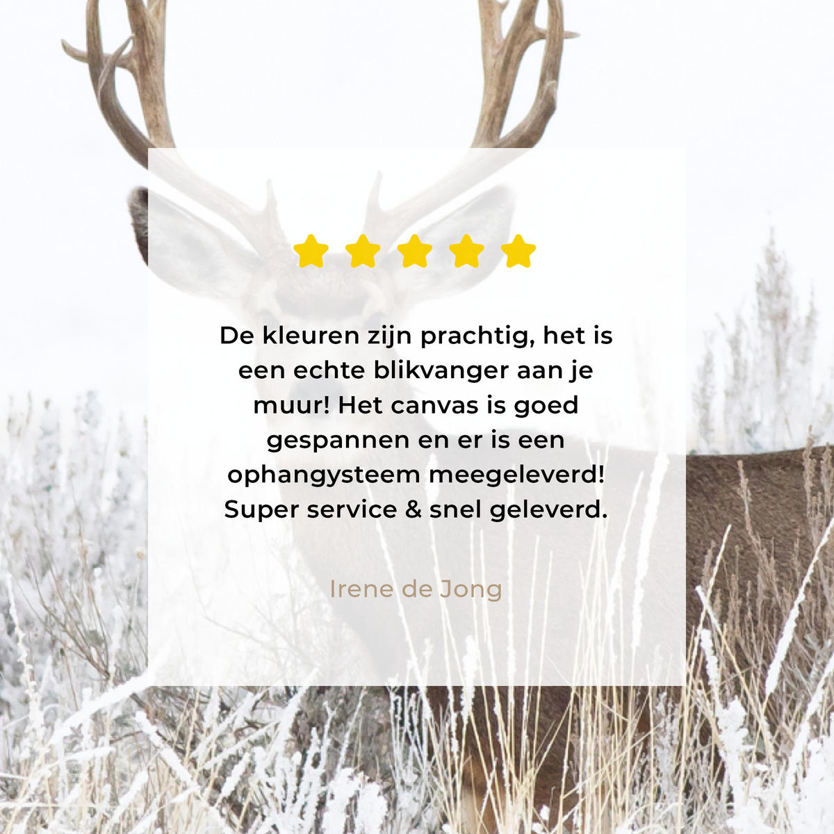 LEINWANDBILD Hirsche - Winter - Schnee - Tiere - Jahreszeiten - Weiß 60x80 cm - Hellbraun, Textil (60/80cm) - MuchoWow