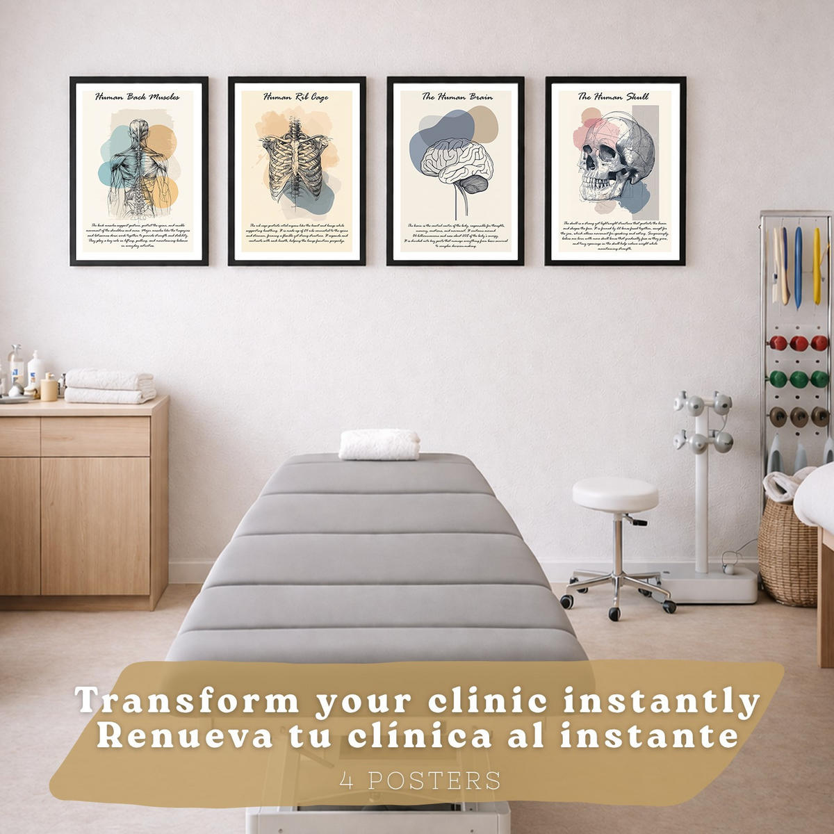 POSTER Set aus 4 Anatomie Mensch Lernposter Drucke und mit Muskeln Rücken Rippen Gehirn und Schädel Modernes Design Größe Schwarzer Rahmen A3 - Schwarz, Papier (29.7/42/3cm) - Nacnic