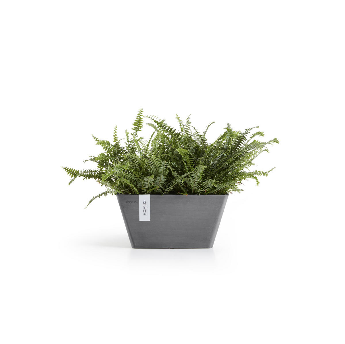 BLUMENTOPF Berlin 31,2/31,2/15,7 cm Grau - Grau, Kunststoff (31.2/15.7cm) - Ecopots