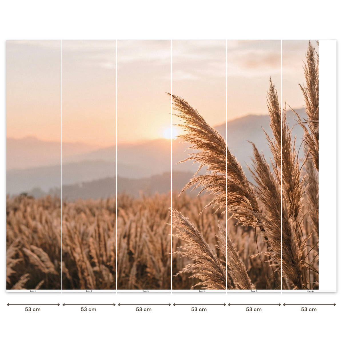 TAPETE - Gras - Feld - Sonne - Natur - 300x240 cm - Sandfarben, Papier (300/240cm) - OnlyWow