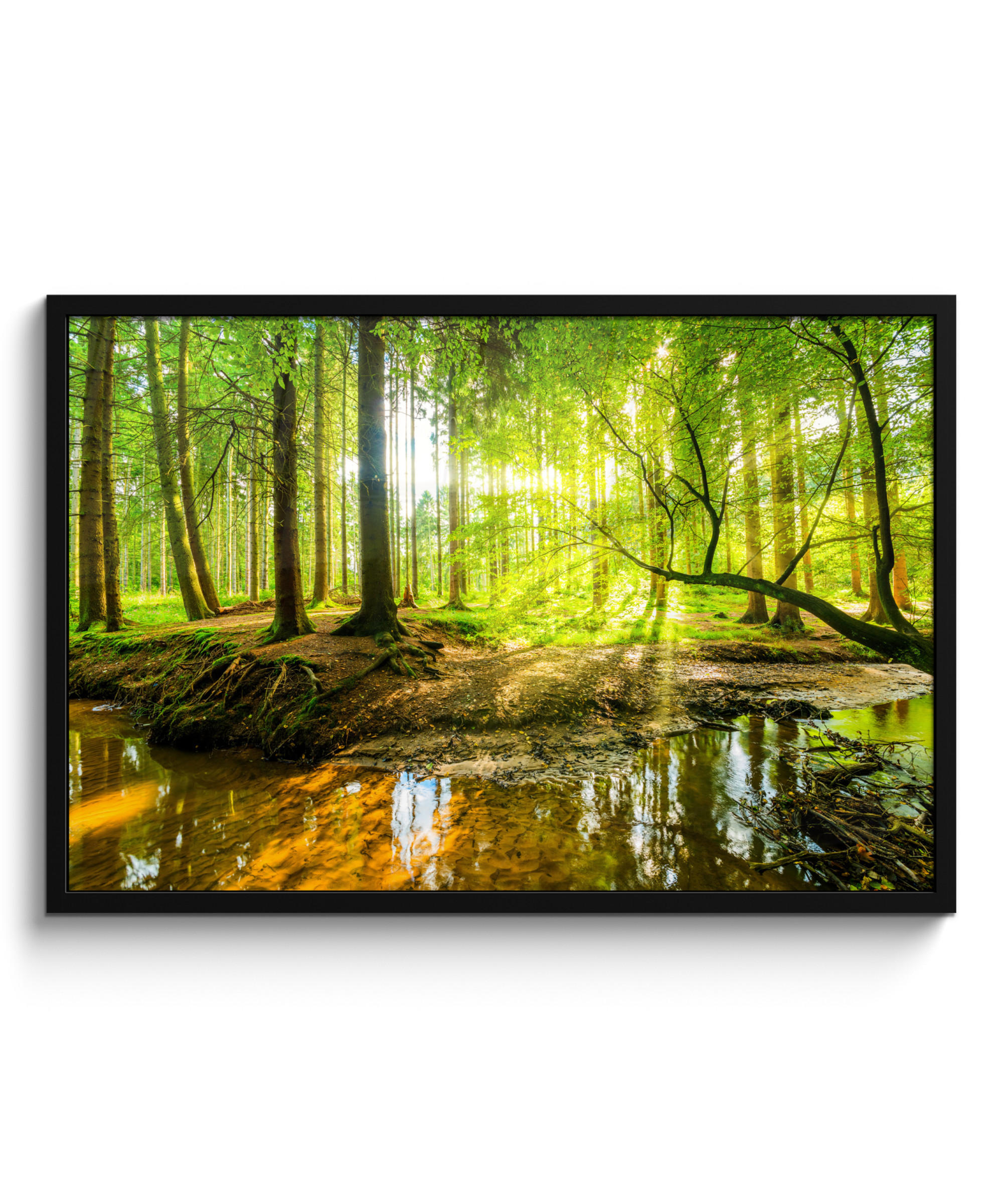 POSTER MIT RAHMENGERAHMTES BILD Wald - Landschaft - Wasser - Bäume - Sonne - Grün - Natur 90x60 cm - Grün, Papier (90/60cm) - MuchoWow