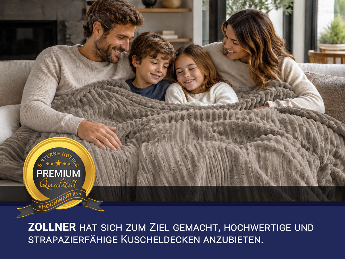 KUSCHELDECKE, 150x200 cm, 100% Polyester, Grau - Taupe, Textil (150/200cm) - Zollner