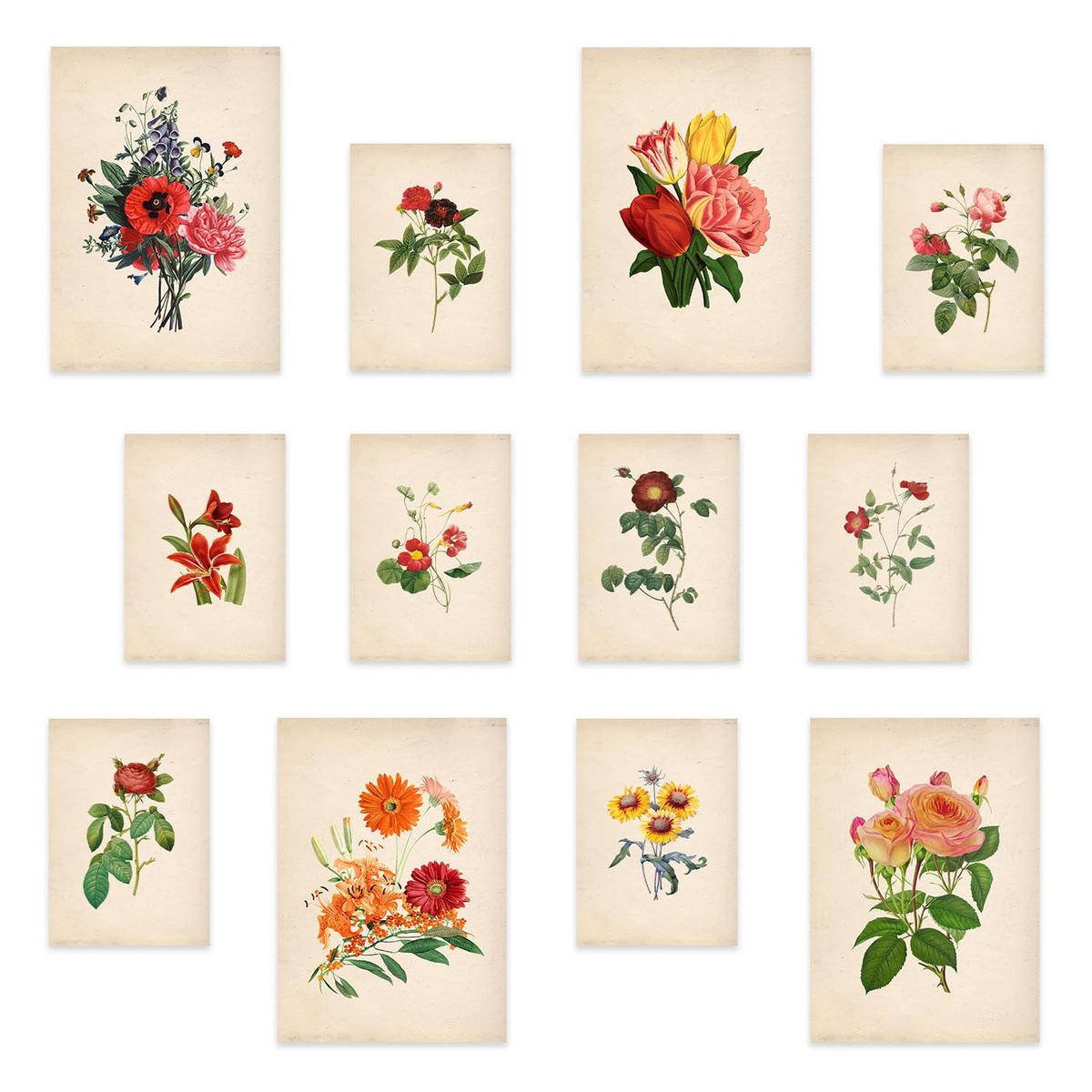POSTER Set Mit 12 Lebendiges Rotes Blumen-Druck A3 Rahmenlos - Klar, Papier (29.7/5/42cm) - Nacnic