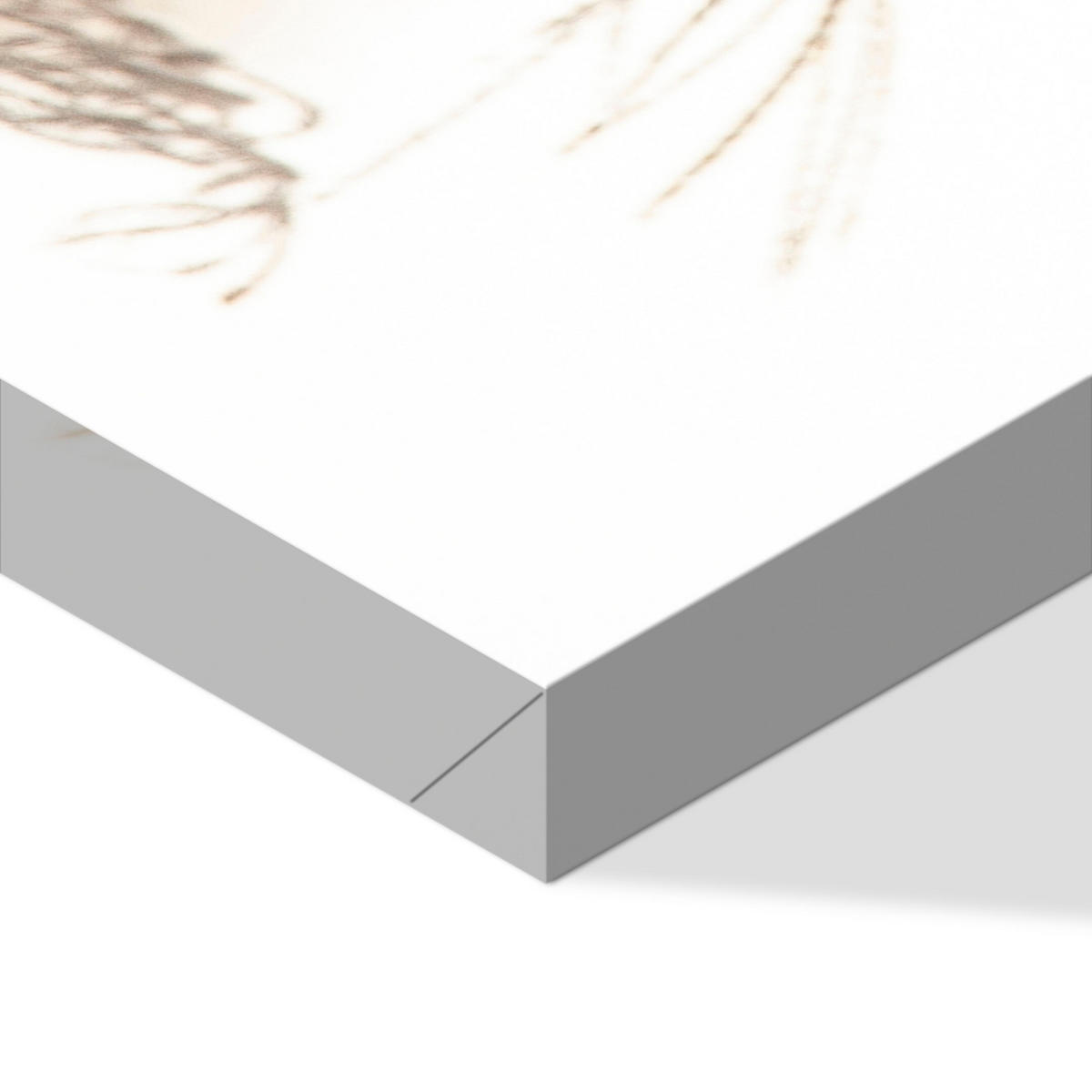 LEINWANDBILD Miskanthus 120x80 cm - Multicolor, Holz (120/80cm) - LUMASOUL