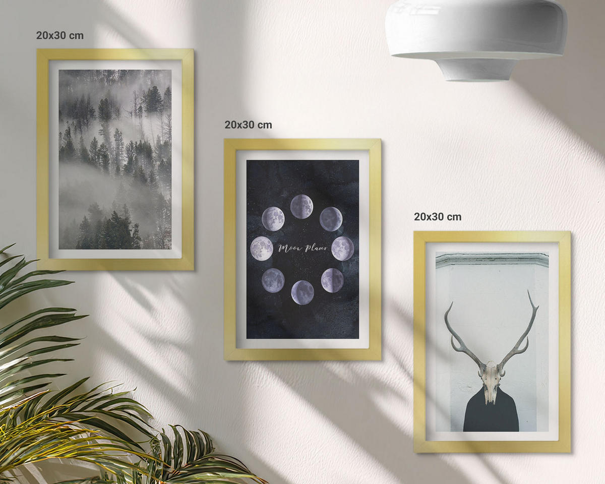 BILDER SET 3er Set - 20x30 cm Goldrahmen - Waldlandschaft, Nebel, Mond, Hirschschädel - Goldfarben, Kunststoff (20/30cm) - TULUP