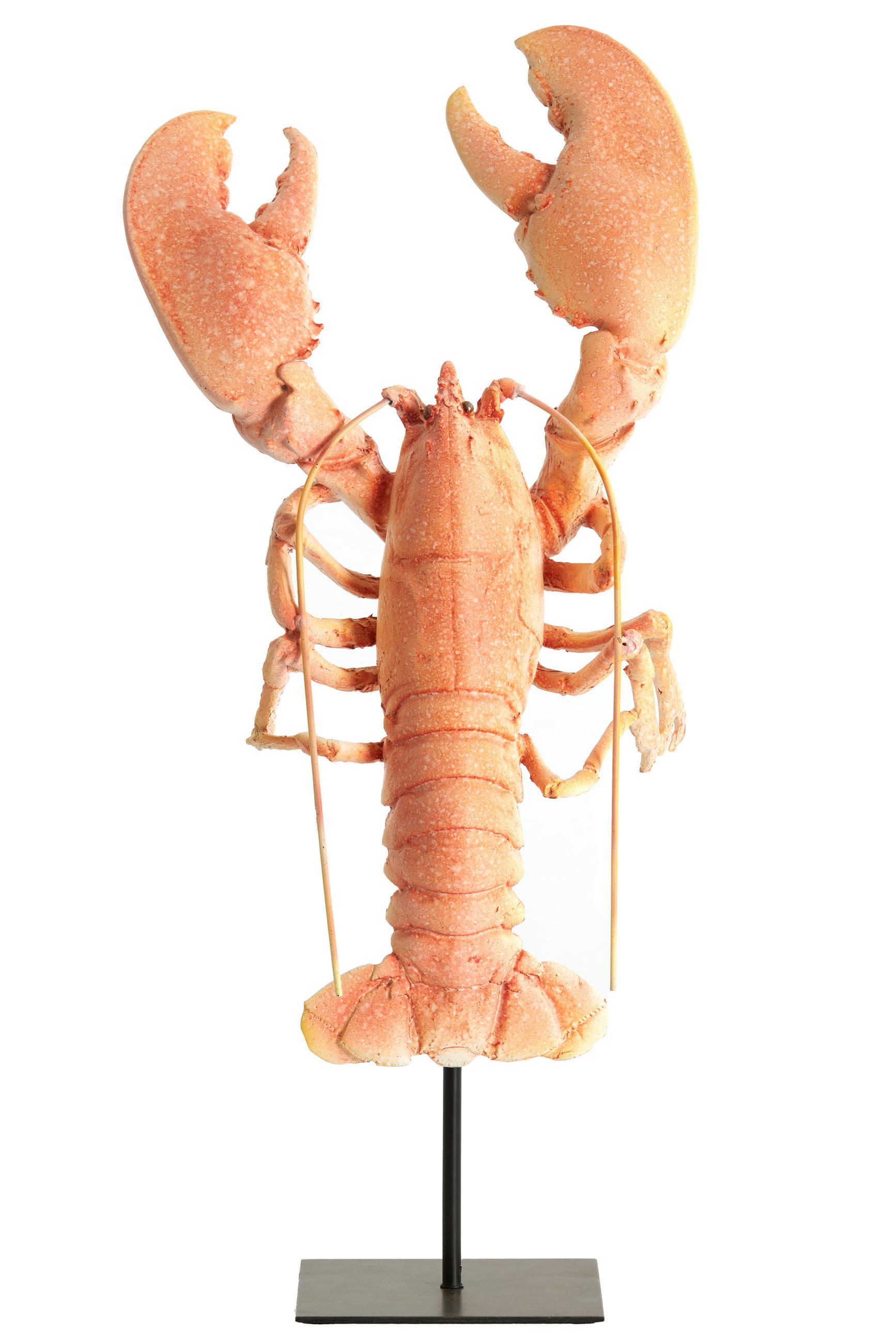 ORNAMENT Lobster Orange 25/14/56.5 cm - Orange, Kunststoff (14/56.5/25cm) - Light & Living