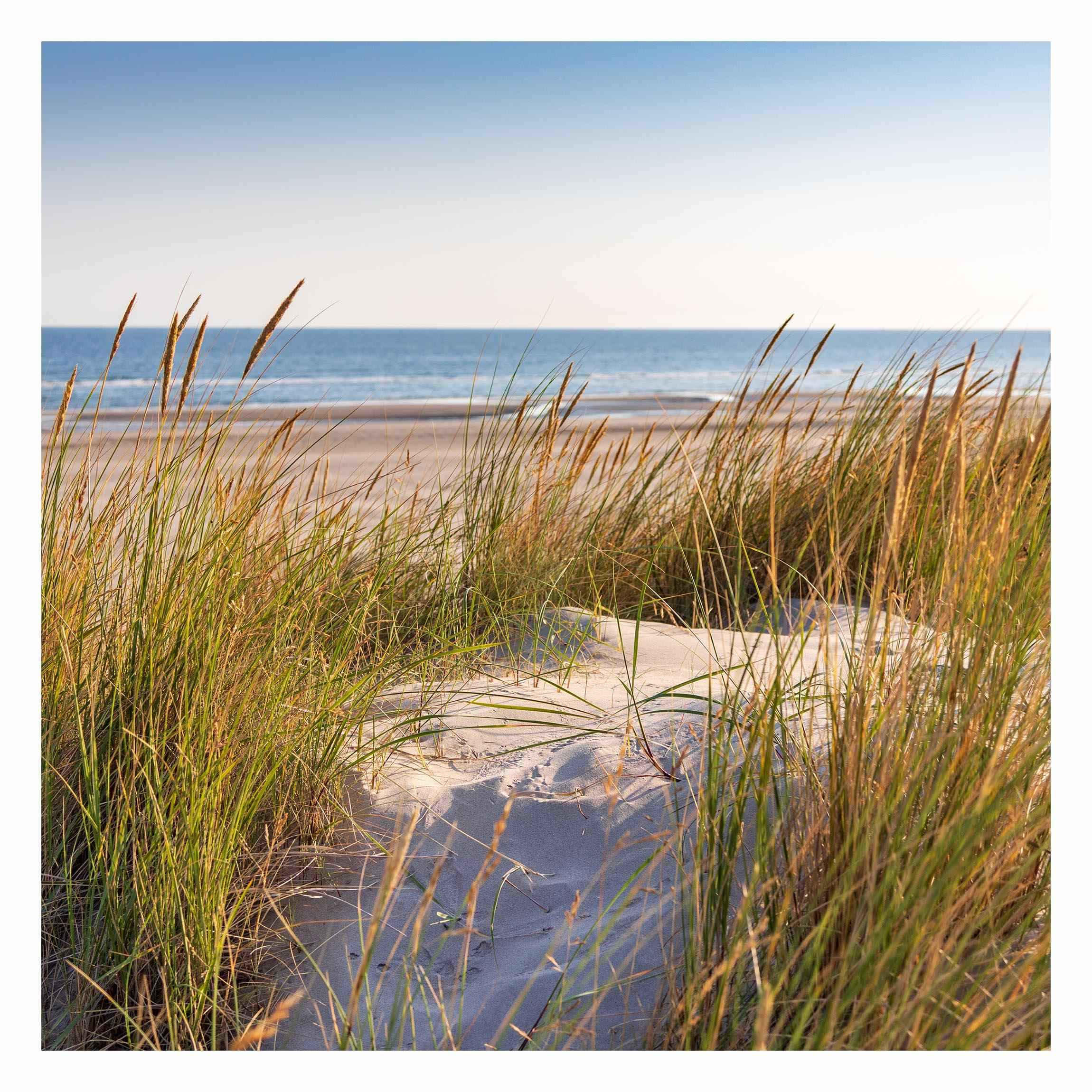 FOTOTAPETE Stranddüne am Meer 288/288 cm - Eichefarben, Papier (288/288cm) - Bilderwelten
