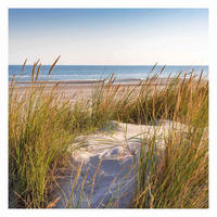 FOTOTAPETE Stranddüne am Meer 288/288 cm - Eichefarben, Papier (288/288cm) - Bilderwelten