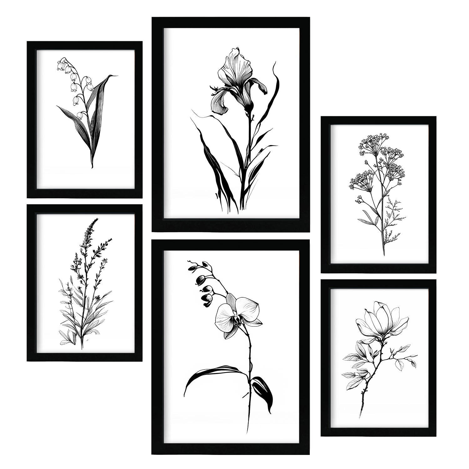 POSTER Set Mit 6 Zarte Blumen Natur Und Botanikdrucke Mit Blumenmotiven In Klassischem Schwarz Und Weiß Innenarchitektur A3 & A4 Schwarzer Rahmen - Schwarz, Papier (29/3cm) - Nacnic