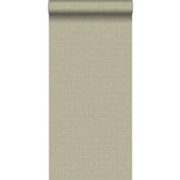 TAPETE Krokodil-Optik 53 cm x 10.05 m - Beige, Papier (53/1000cm) - ESTAhome