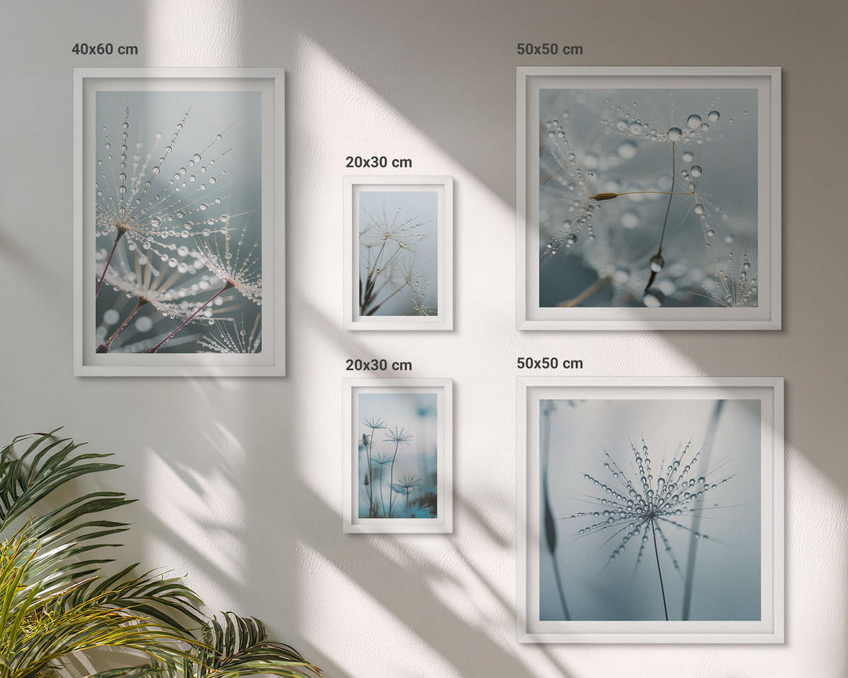 WANDBILDER 5er-Set - 50x50 cm & 20x30 cm & 40x60 cm Weißer Rahmen - Tautropfen auf Löwenzahn - Weiß, Kunststoff (40/60cm) - ArtPrintCave
