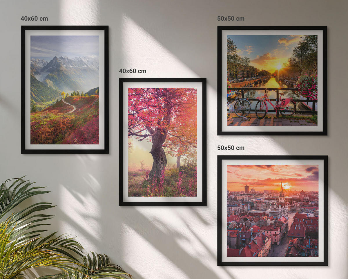 BILDER SET 4er Set - 50x50 cm & 40x60 cm Schwarzer Rahmen - Berglandschaften mit dem Fahrrad - Schwarz, Kunststoff (50/50cm) - TULUP