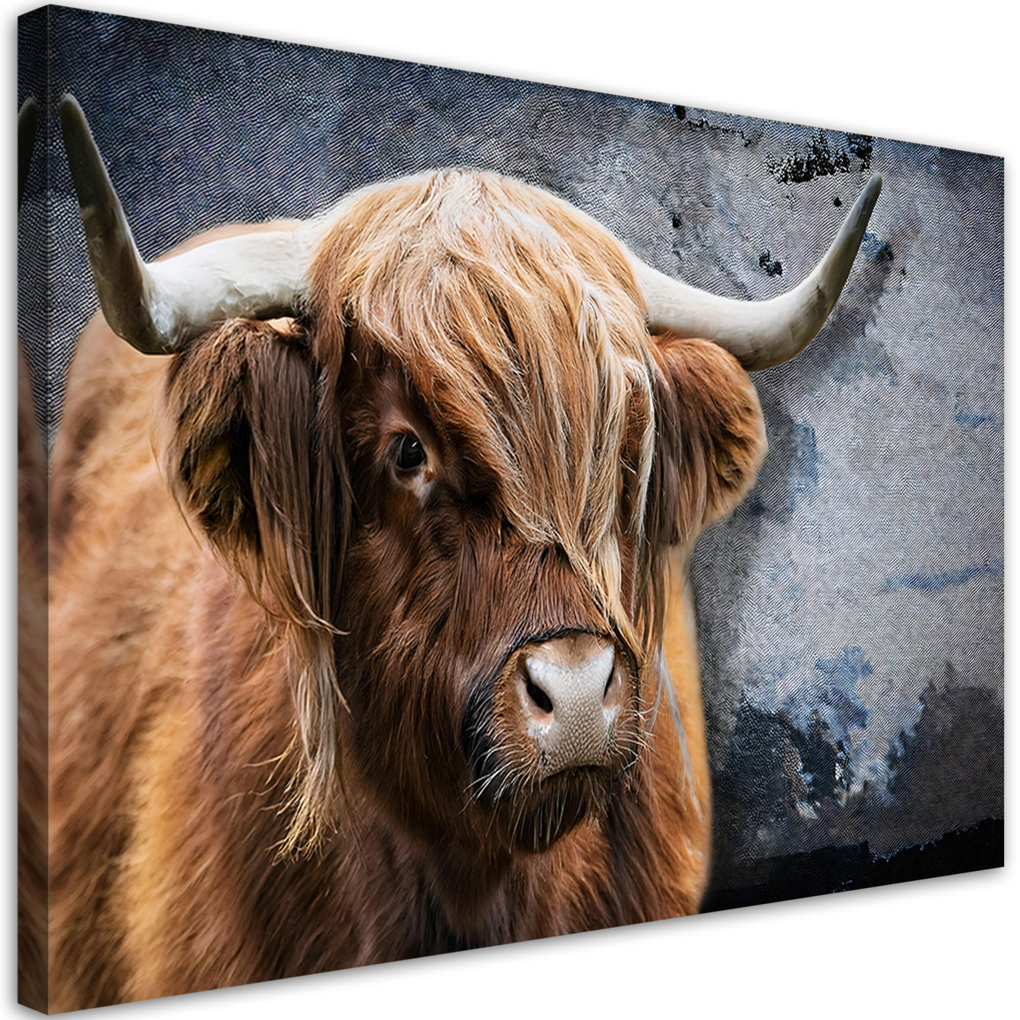 WANDBILD schottische kuh tier natur - Braun, Textil (60/40cm) - Feeby
