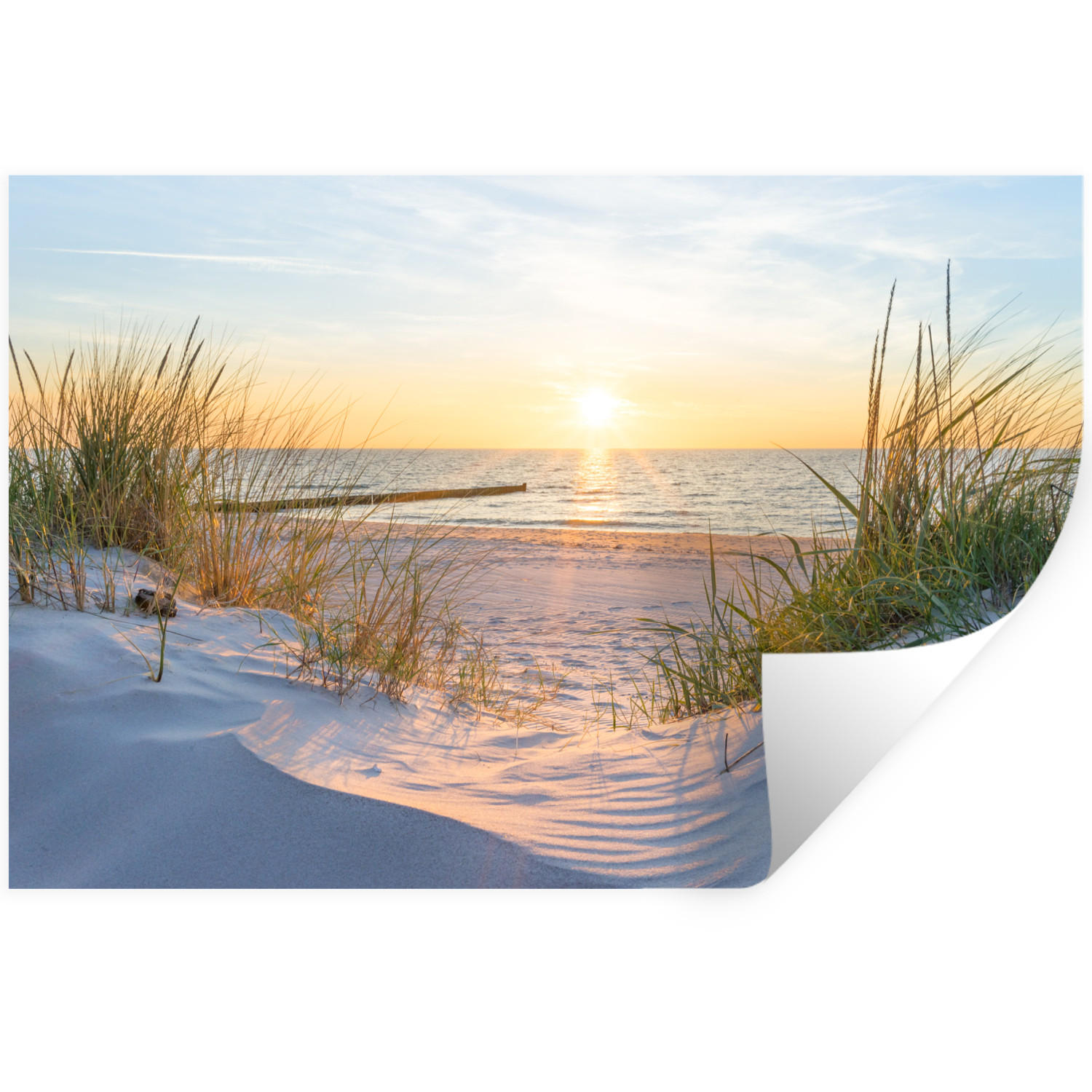 WANDTATTOO Strand - Sonne - Düne - Gras - Sand - Horizont 60x40 cm - Hellblau, Kunststoff (60/40/0.1cm) - MuchoWow