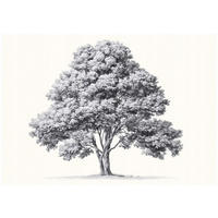 FOTOTAPETE Baum Abstrakt Grau 400x280 cm - Multicolor, Papier (400/280cm) - Wallarena