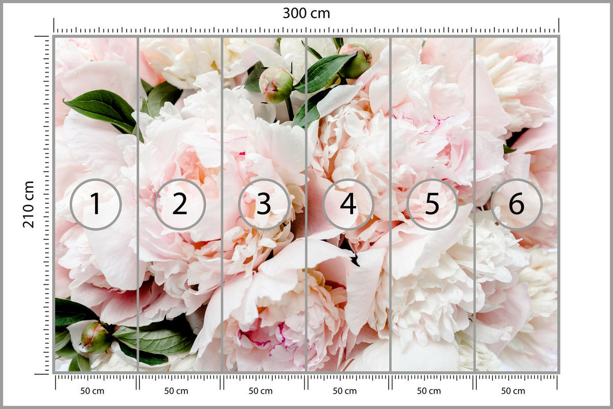 FOTOTAPETA Pre Spálňu Ružové Jemné Pivonky Príroda 300 x 210 cm - biela/zelená, papier (300/210cm) - Muralo