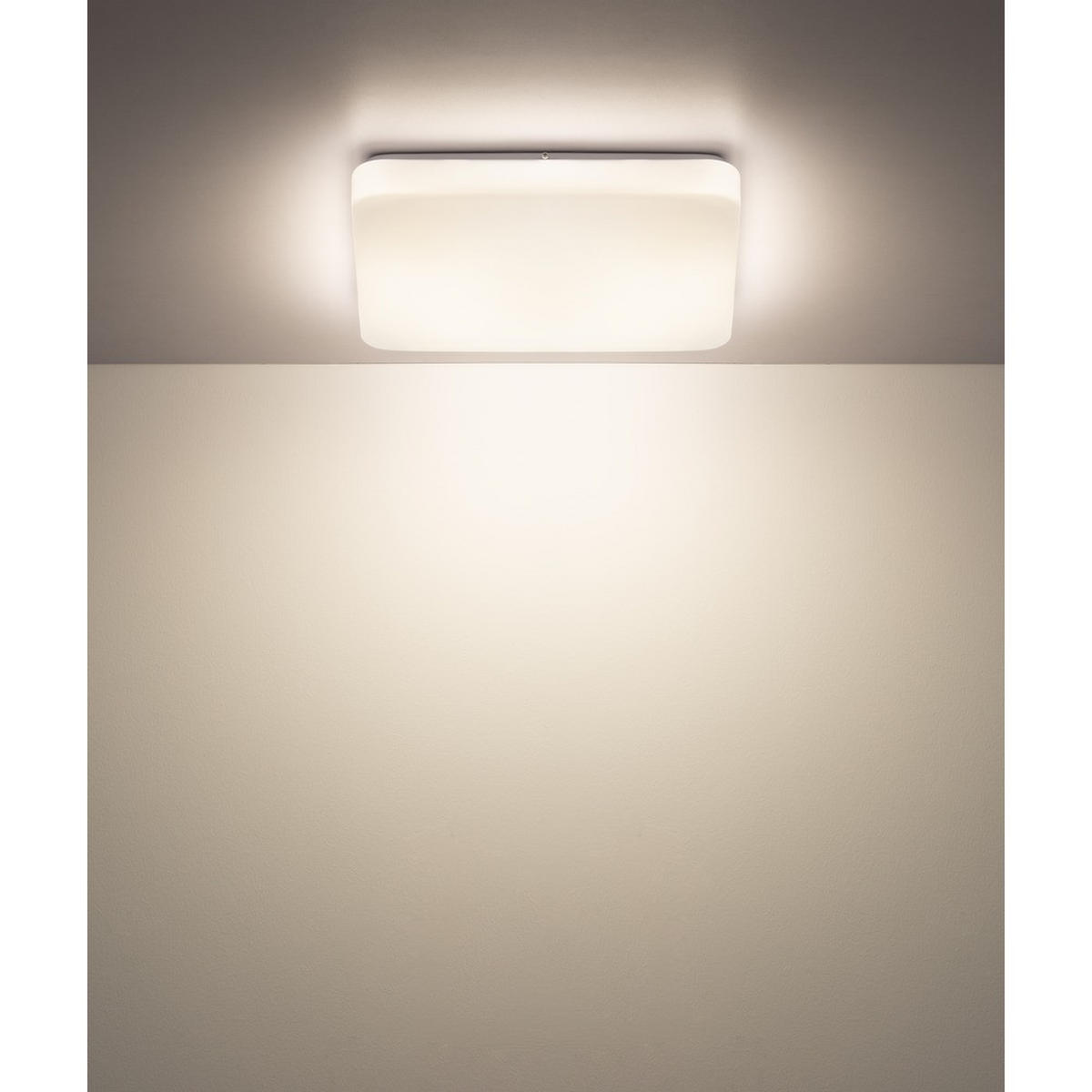 DECKENLEUCHTE DONTE Metall Weiß matt LED Aufbau - Weiß, Metall (27/27/5.5cm) - Globo Lighting