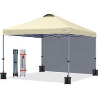 FALTPAVILLON 2,5 x 2,5 m mit Seitenwand Beige - Beige, Textil (250/257/250cm)