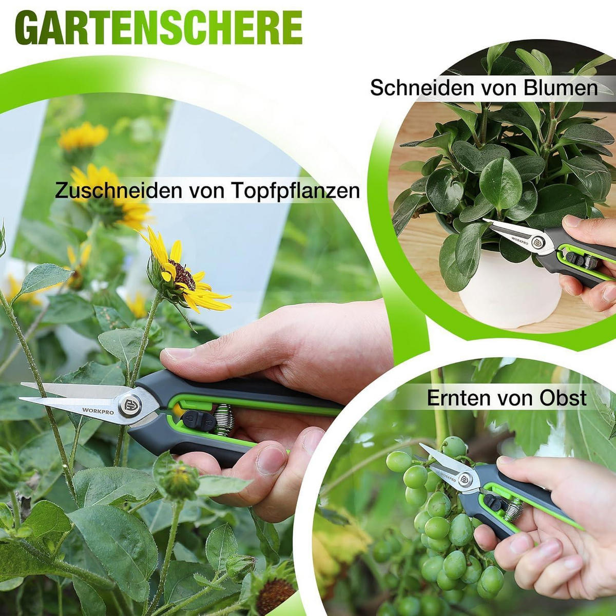 GARTENSCHERE 2-teiliges Set SK5 Bypass Astschere 210mm Ernteschere 160mm - Multicolor, Metall (5/8/25cm)