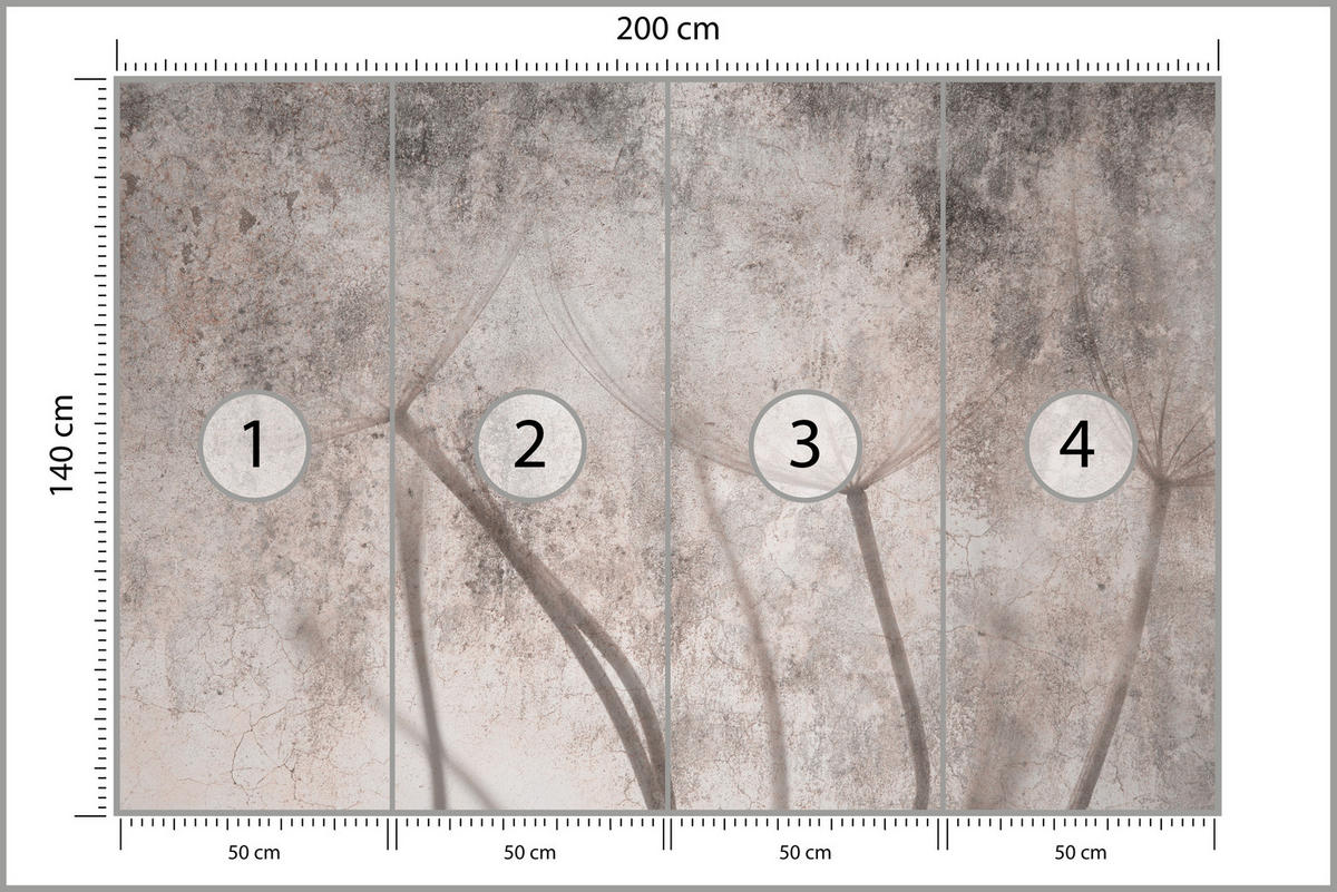 FOTOTAPETE für Schlafzimmer Retro Löwenzahn Beton Beige Minimalistisch 200x140 - Beige/Braun, Papier (200/140cm) - Muralo