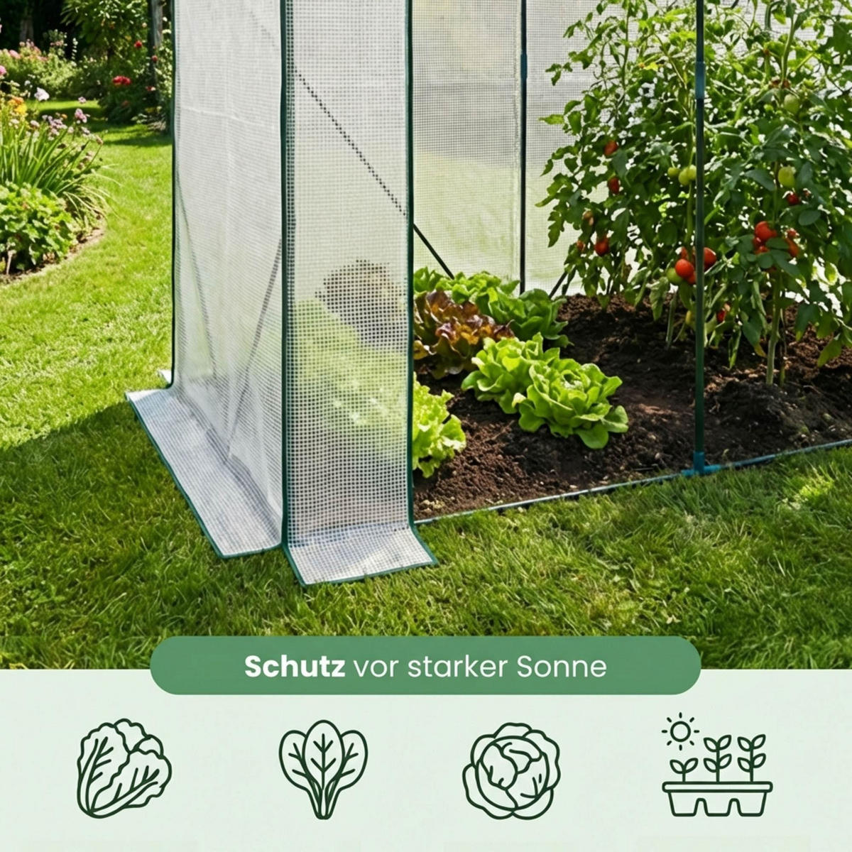 GEWÄCHSHAUS in Hausform, Weiß, 202x80x170 cm - Weiß, Metall (202/170/80cm) - Akord