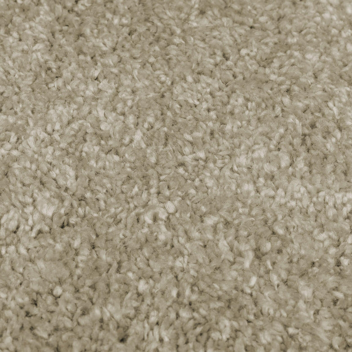 TEPPICH Hochflor Shaggy-Design, teddyweich LYNE, Beige 200x290 cm - Beige, Textil (200/290cm) - KADIMA DESIGN