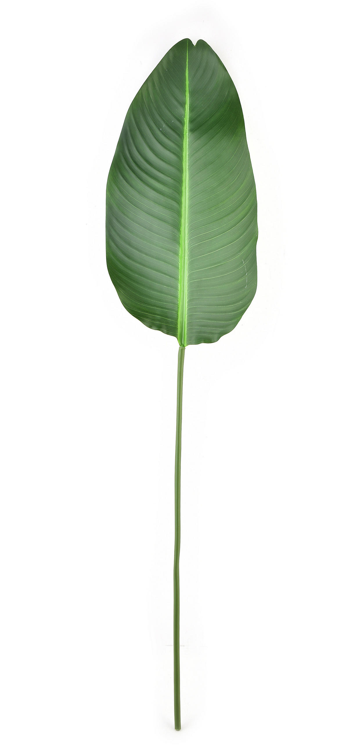 KUNSTBLUME Viridiis Grün 100/23.5/1 cm Kunstoff - Grün, Kunststoff (1cm) - Mondex