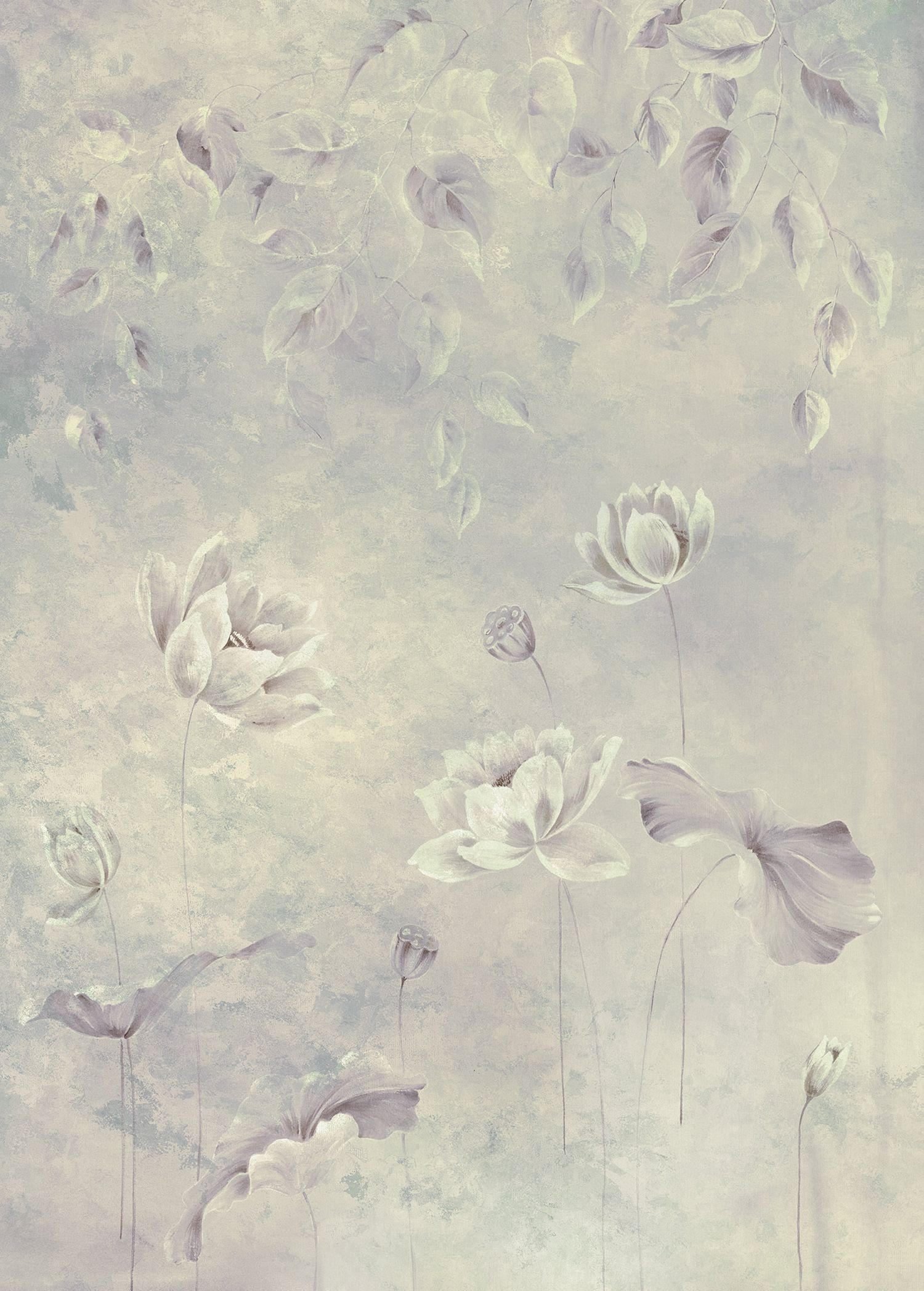 FOTOTAPETE Blumen 200 x 280 cm - Grau, Papier (200/280cm) - Sanders & Sanders