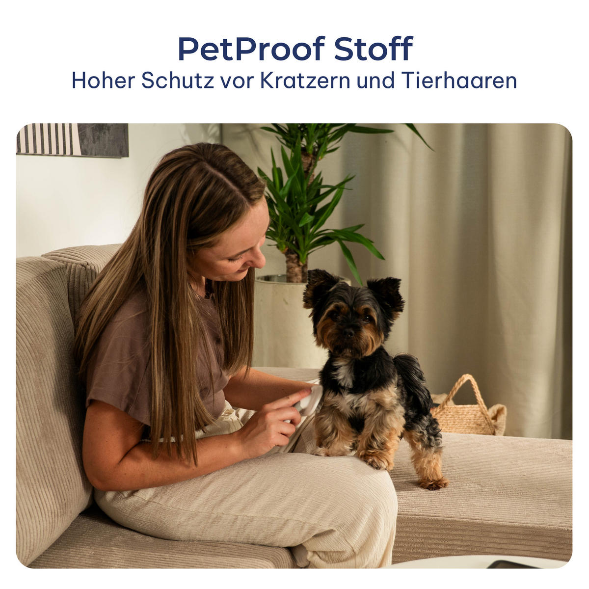 ECKSOFA ANKO modulares Boneless Sofa mit Schlaffunktion Grau Kordstoff - Grau, Textil (270/160cm) - MASSENO