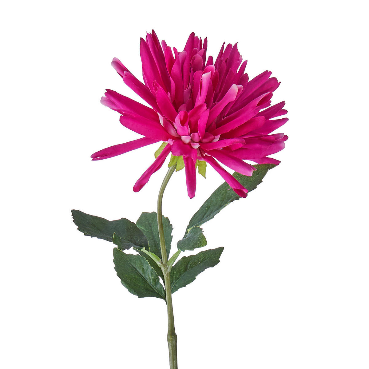 KUNSTBLUME Florista Dahlie - Polyethylen/Polyester - Rosa - Pink, Kunststoff (59cm) - BUTLERS