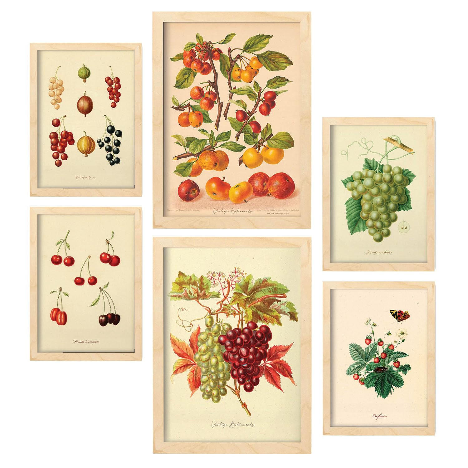 POSTER Set Mit 6 Beeren In Vintage A3 & A4 Rahmen Aus Hellem Holz - Beige, Papier (29/3cm) - Nacnic