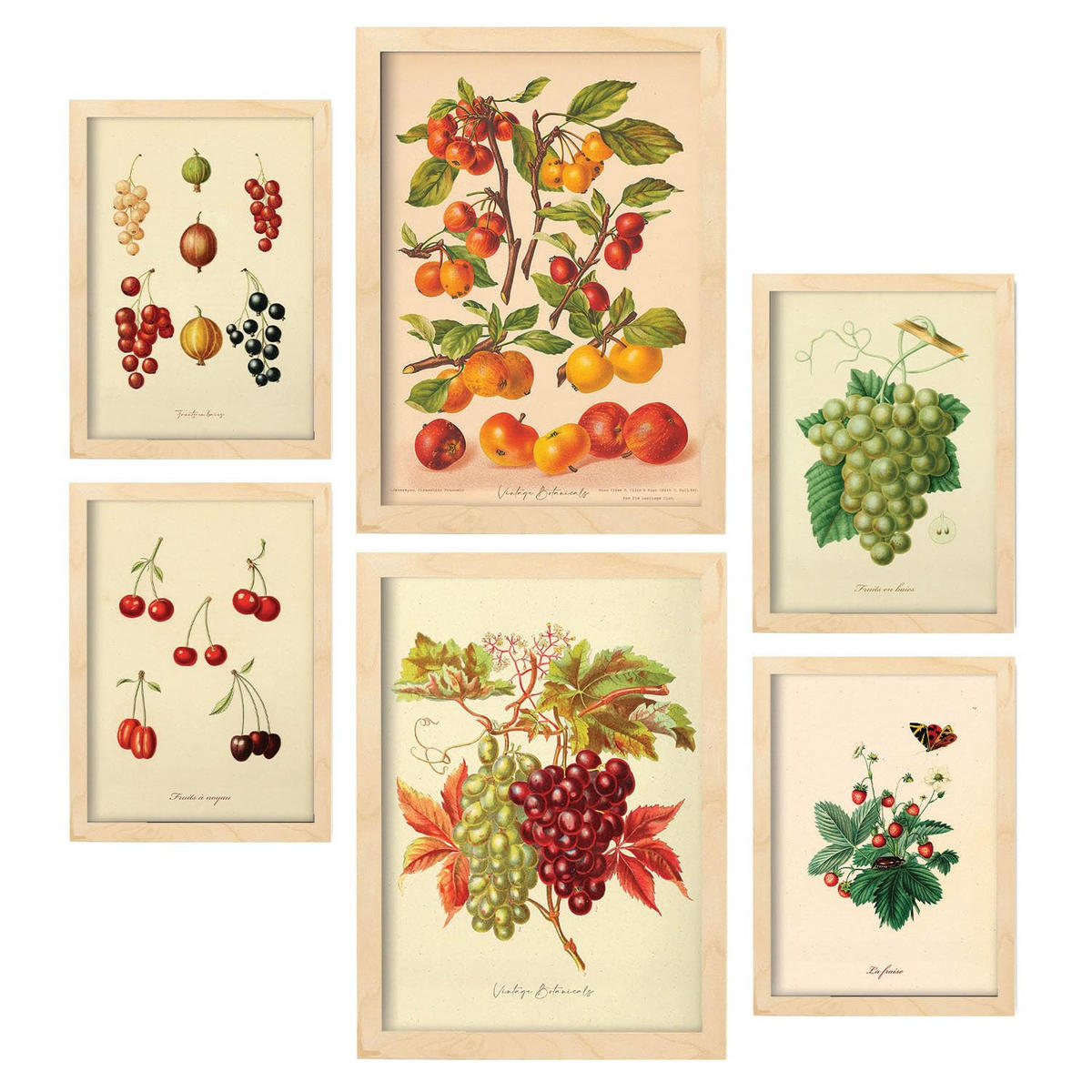 POSTER Set Mit 6 Beeren In Vintage A3 & A4 Rahmen Aus Hellem Holz - Beige, Papier (29/3cm) - Nacnic